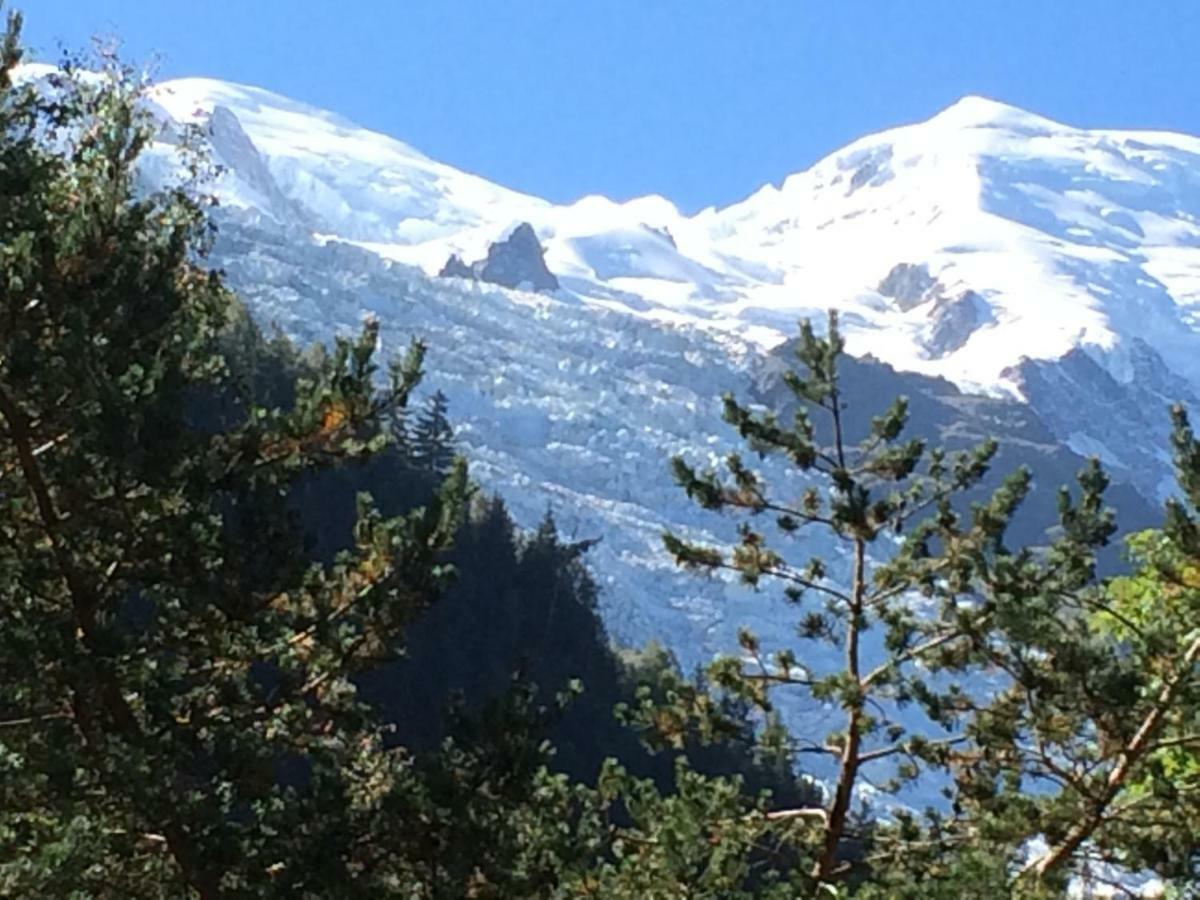 Chalet Des Petits Loups Chamonix Exterior foto